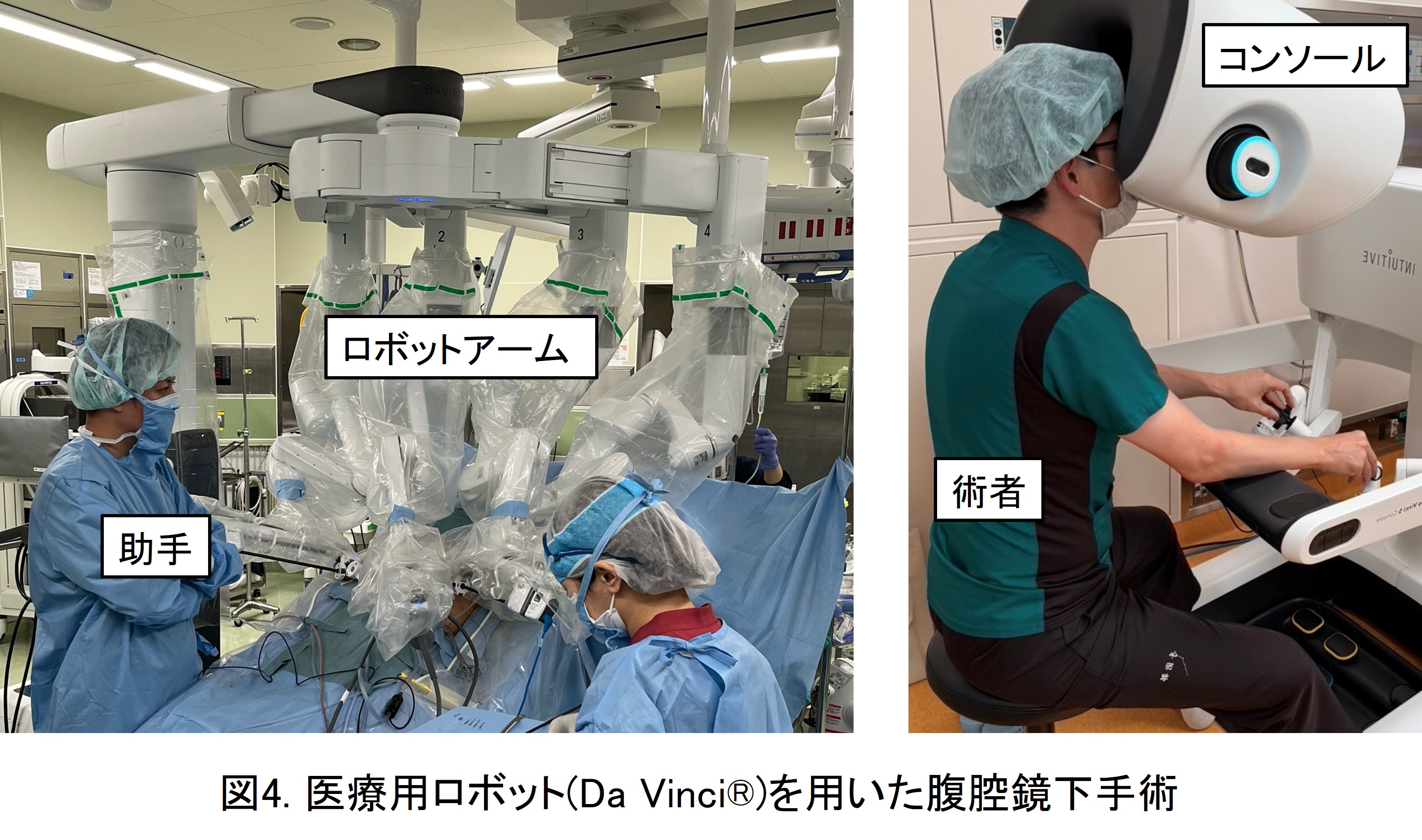 肝臓・脾臓・門脈・肝臓移植外科｜診療案内｜九州大学大学院 消化器